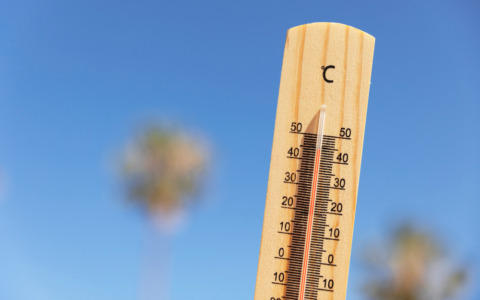 Mappati 200 rifugi climatici per sfuggire al caldo in città