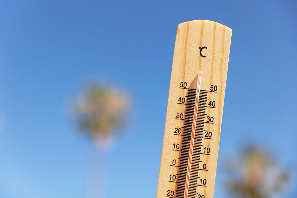 Mappati 200 rifugi climatici per sfuggire al caldo in città