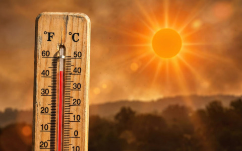 Caldo e siccità anticipano la caduta delle foglie