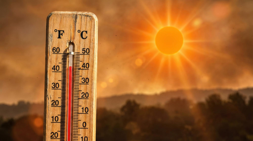 Caldo e siccità anticipano la caduta delle foglie