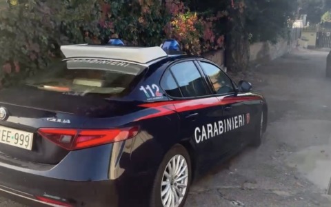 Funghi, 17 multe per violazioni e comportamenti rischiosi