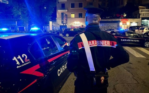 Due arresti per dodici furti di Toyota Rav4