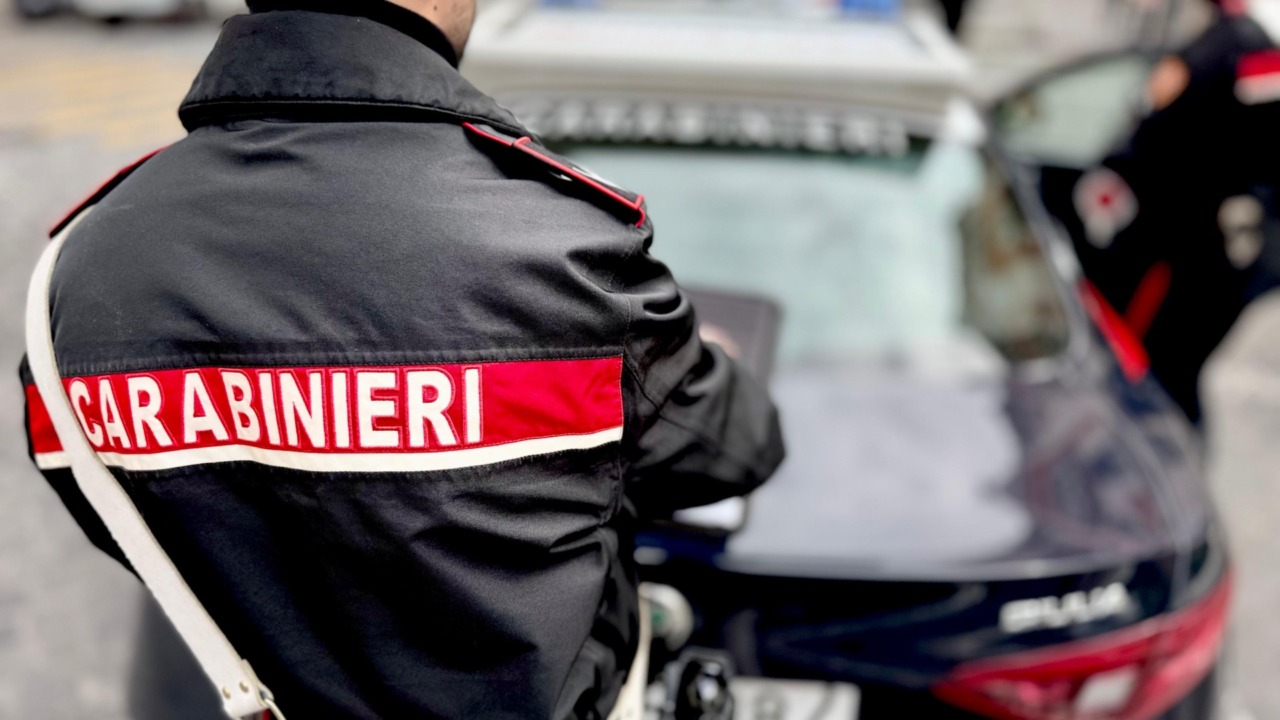 Multe e sequestri nelle aziende bergamasche per gas vietati