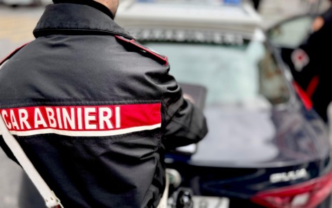 Multe e sequestri nelle aziende bergamasche per gas vietati