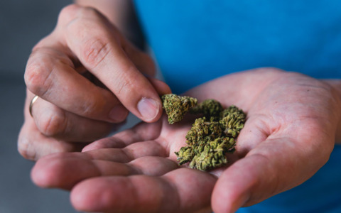 Odore di hashish dal garage: sequestrati 230 chili a Caprino