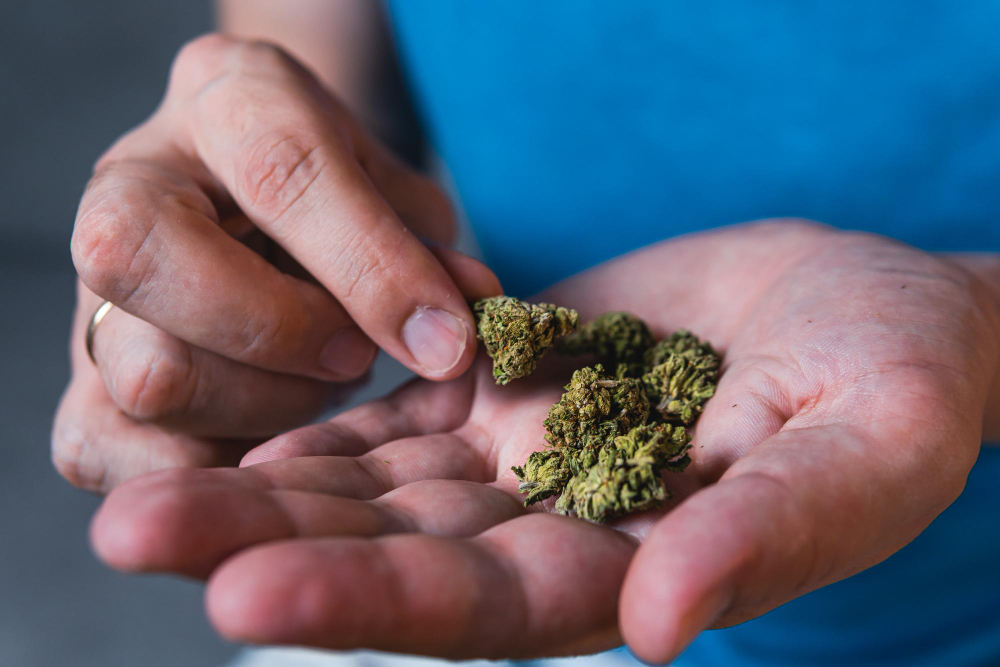 Odore di hashish dal garage: sequestrati 230 chili a Caprino
