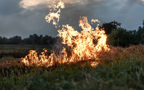 Incendi: Confai Bergamo chiede gestione attenta dei boschi