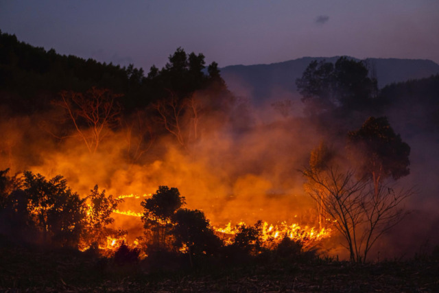 Muore mentre brucia le sterpaglie nel suo terreno
