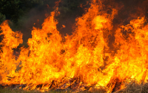 Incendio nella notte, distrutto un negozio di biciclette
