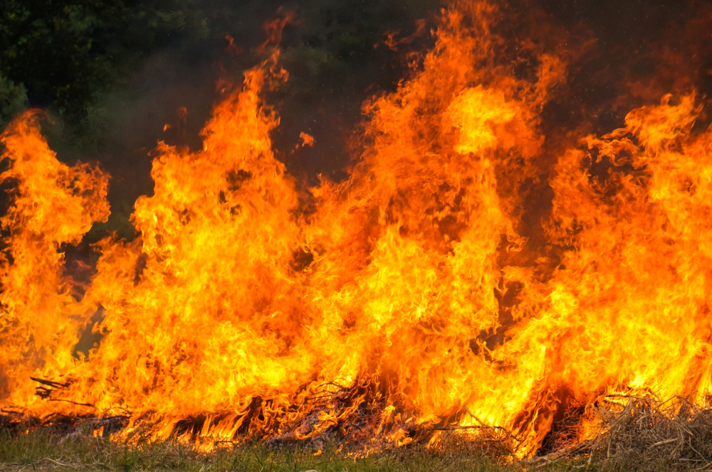 Incendio nella notte, distrutto un negozio di biciclette