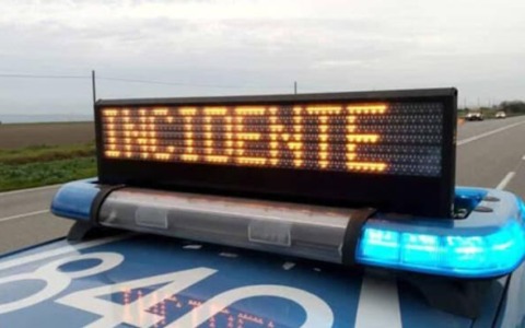 Cade un abete di 15 metri nel cortile di una scuola: tragedia sfiorata