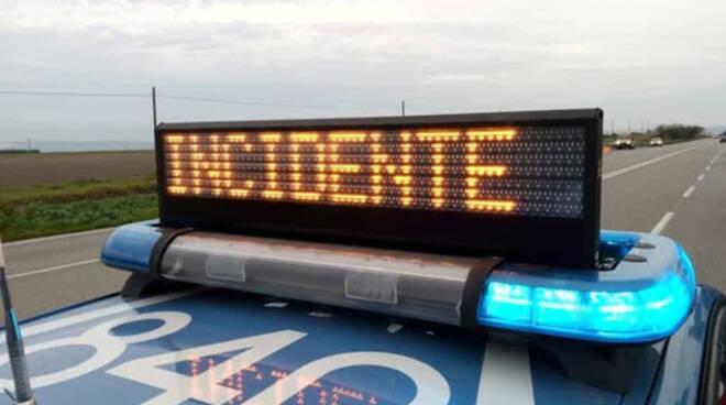 Cade un abete di 15 metri nel cortile di una scuola: tragedia sfiorata